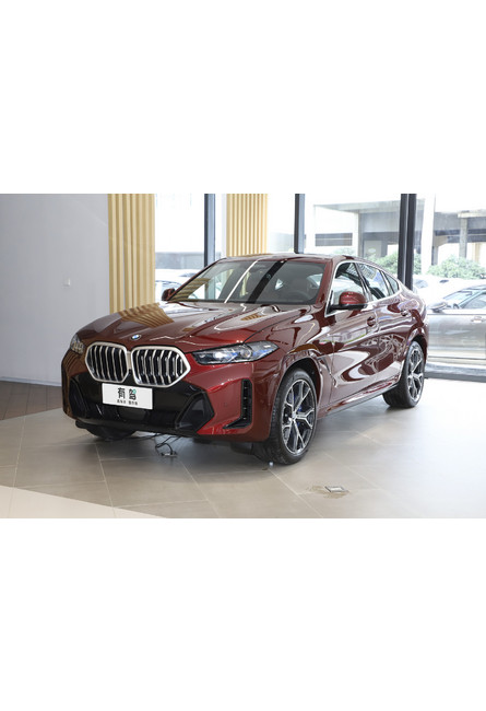 Bmw (import) x6