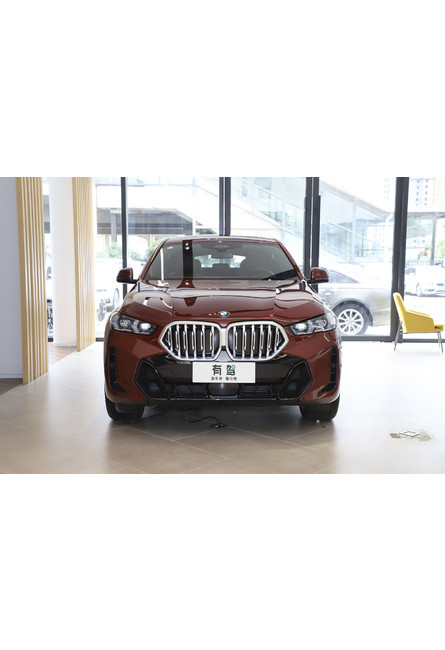 Bmw (import) x6