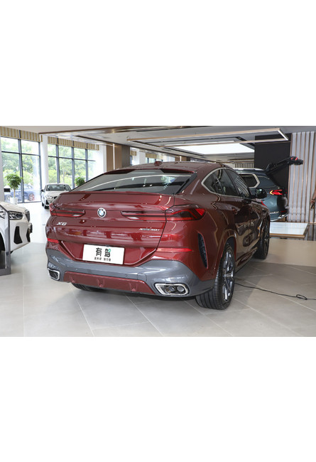 Bmw (import) x6