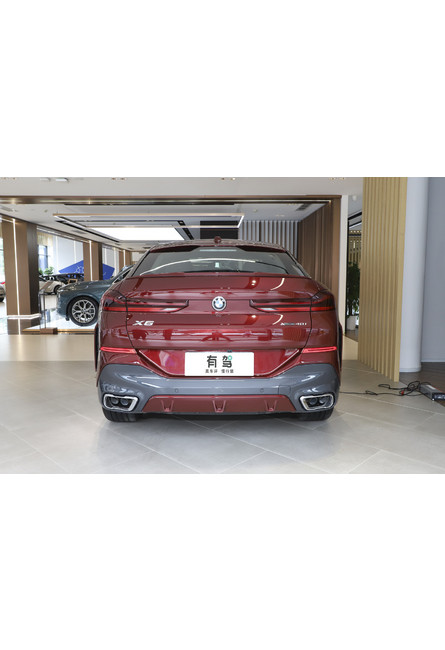Bmw (import) x6