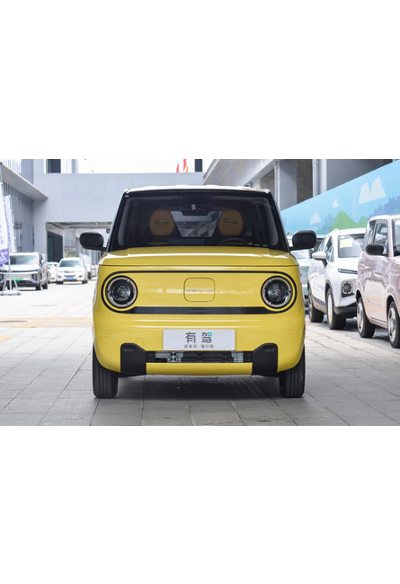 Geely Panda mini