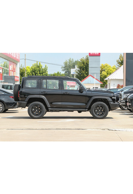 Great wall Tank 300