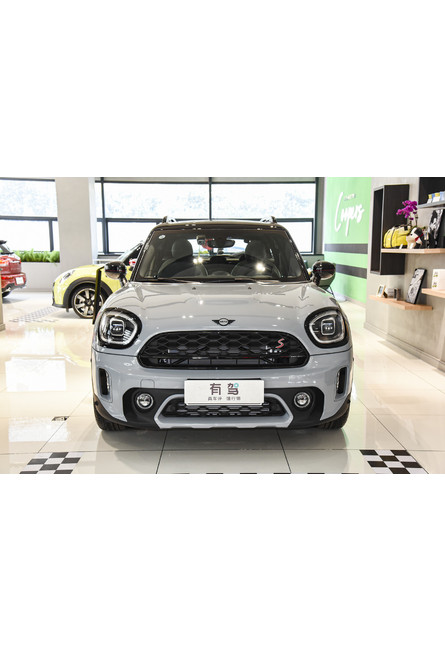 Mini countryman