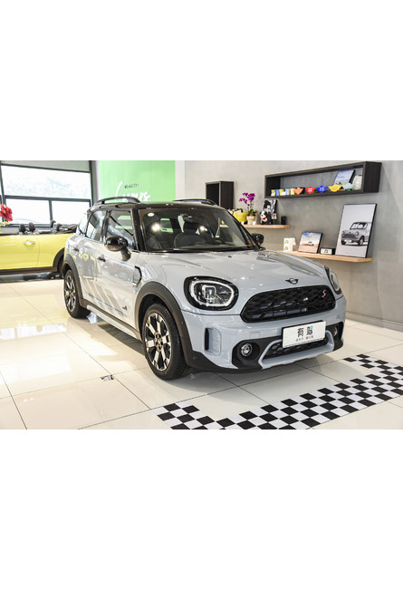 Mini countryman