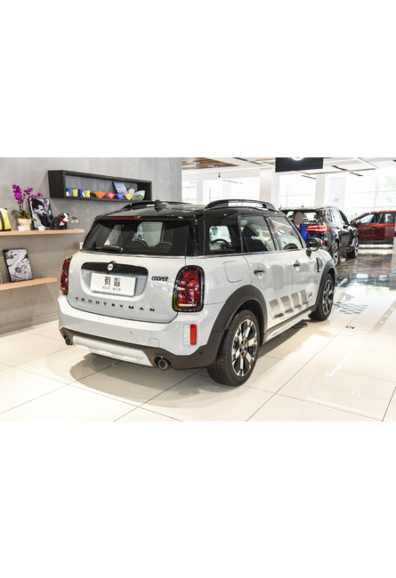 Mini countryman